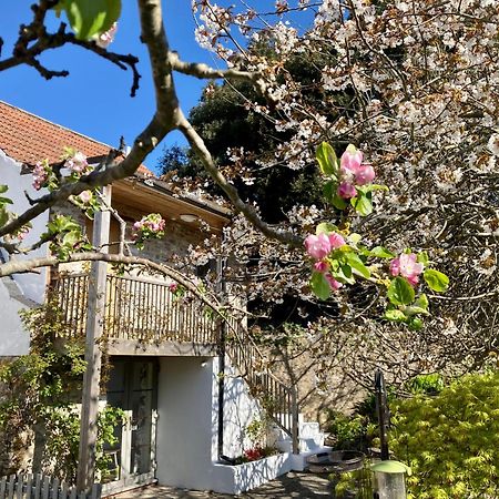 Westbury Cross House Bed & Breakfast Kültér fotó