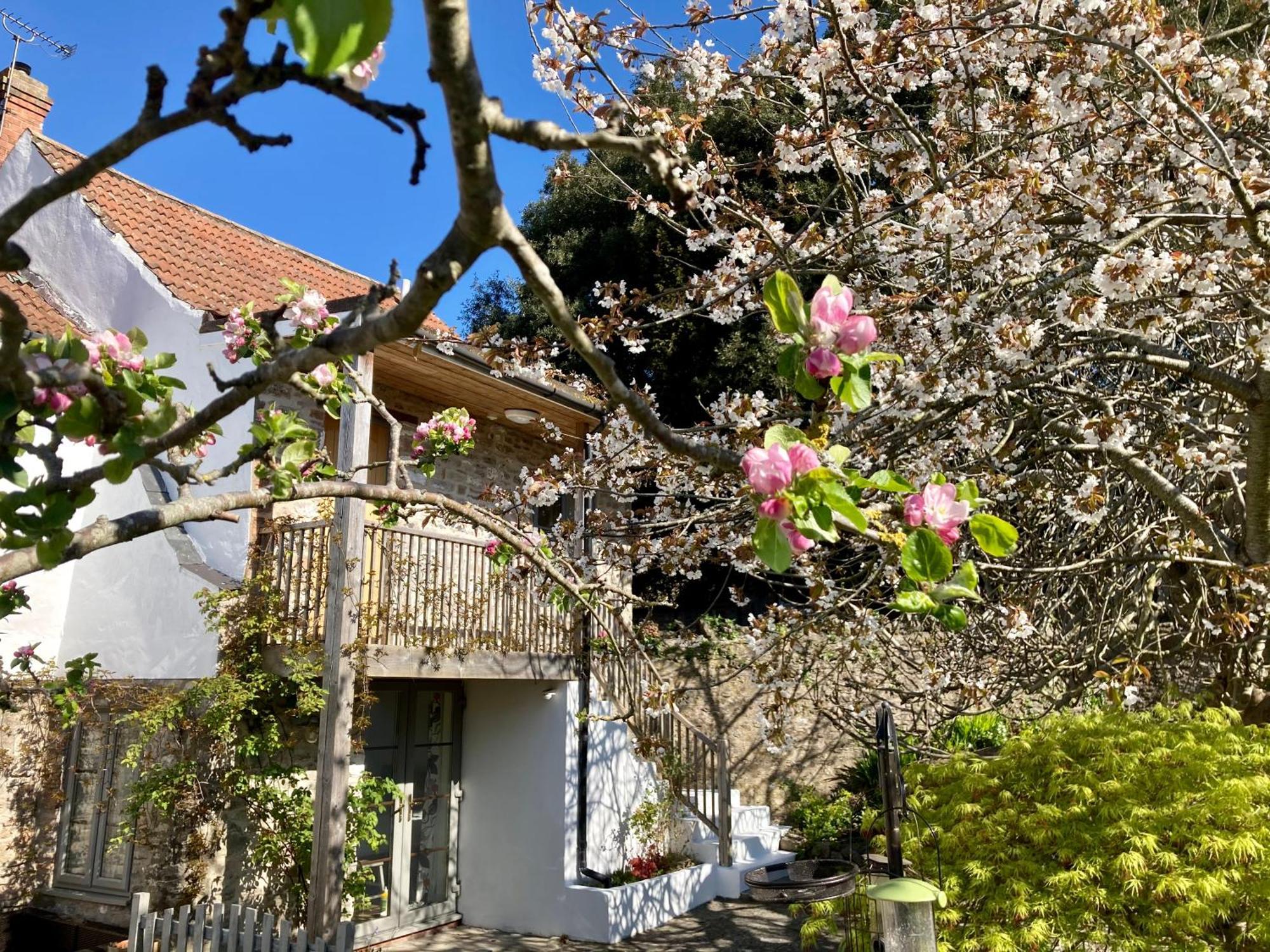 Westbury Cross House Bed & Breakfast Kültér fotó